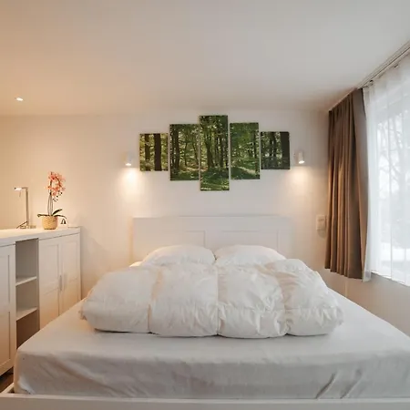 Simee-les Terrasses De 马尔梅迪